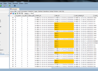 Come evidenziare le colonne NULL su SQL Developer