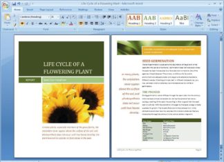 Come estrarre le immagini da un documento Word