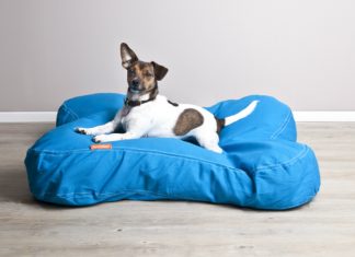 Quali sono i migliori lettini per cani da interno 2017?